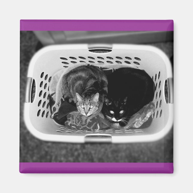 Tvätt Basket Kattunge Magnet (Framsidan)