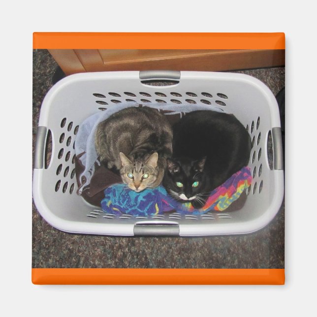 Tvätt Basket Kattunge Magnet (Framsidan)