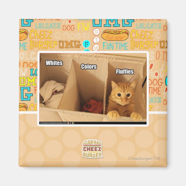 Tvätt Cat Magnet (Framsidan)