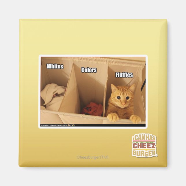 Tvätt Cat Magnet (Framsidan)