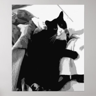 Tvätt Cat Poster