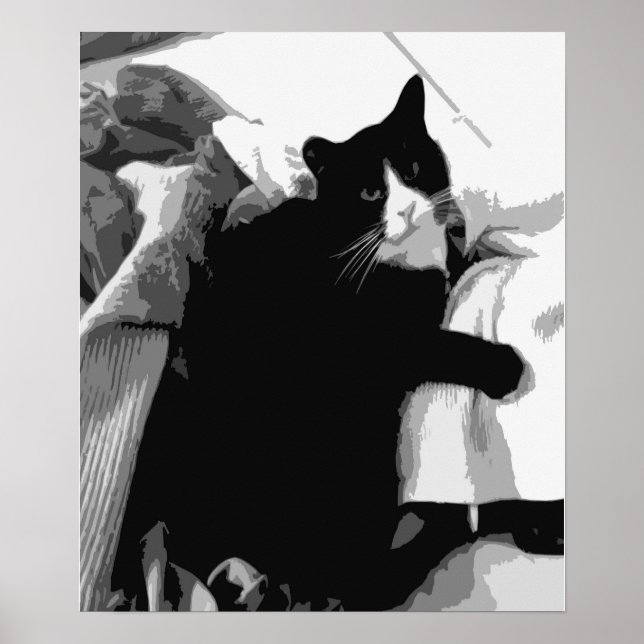 Tvätt Cat Poster (Framsidan)