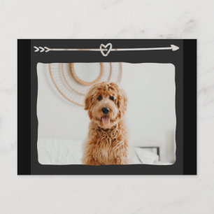 Tvätt Hund med vykort för hjärt- och pildesign
