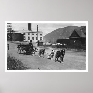 Tvätt Hund Team Alaska 1904 Poster