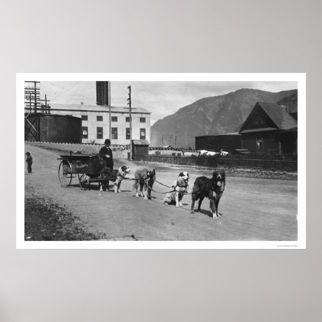 Tvätt Hund Team Alaska 1904 Poster (Framsidan)