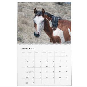 Tvätta Bas 2021-kalender Kalender