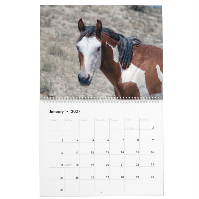 Tvätta Bas 2021-kalender Kalender (Jan 2027)