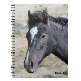 Tvätta Början med Poseidon-anteckningsbok Anteckningsbok