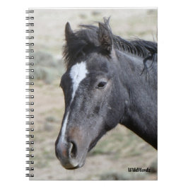 Tvätta Början med Poseidon-anteckningsbok Anteckningsbok