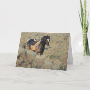 Tvättare än det övriga anteckningskortet kort