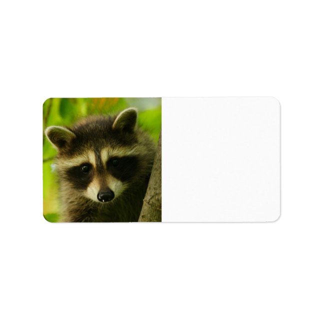 tvättbjörn adressetikett (Framsidan)