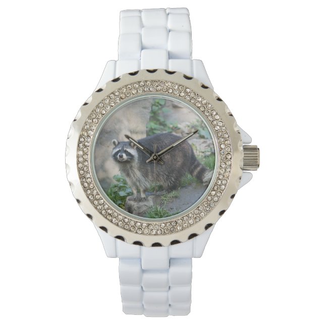 Tvättbjörn Armbandsur (Framsida)