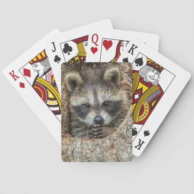 Tvättbjörn i en trädhåla casinokort (Baksidan)