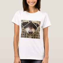 tvättbjörn på t-shirts