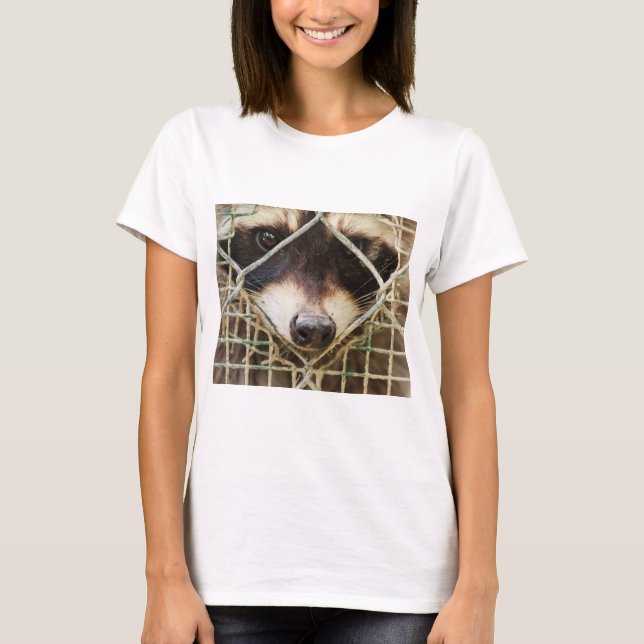 tvättbjörn på t-shirts (Framsida)