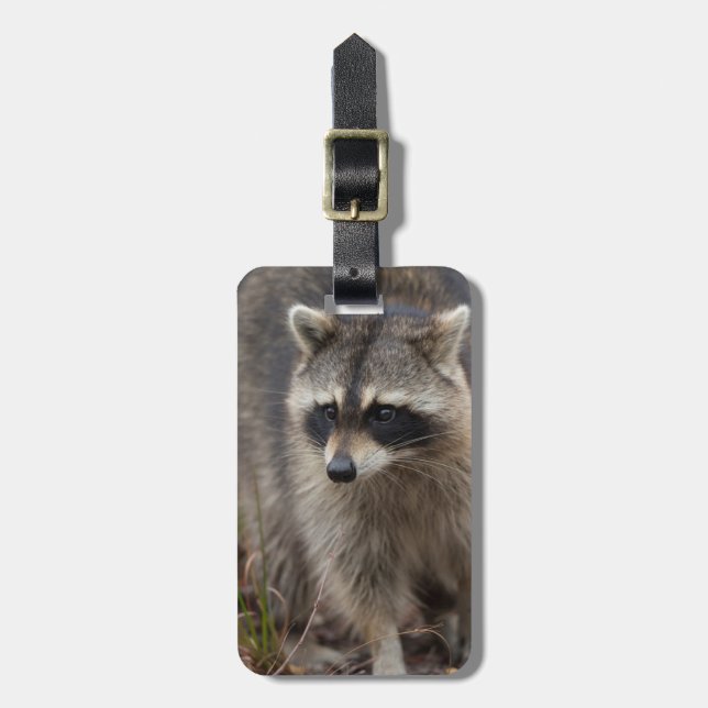 Tvättbjörn, Procyon lotor, Florida Bagagebricka (Vertikal Framsida)
