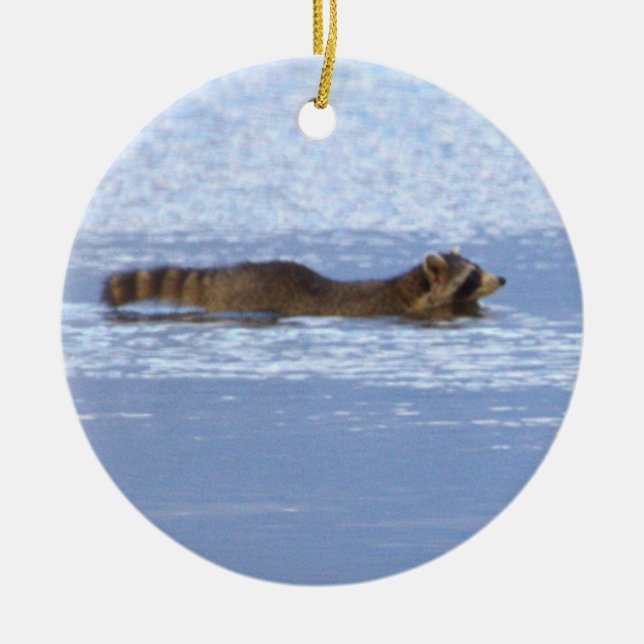 Tvättbjörn Simning Foto Ornament  (Framsidan)