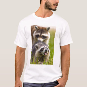 Tvättbjörnen, Procyon lotor, är ett utbrett, Tee Shirt