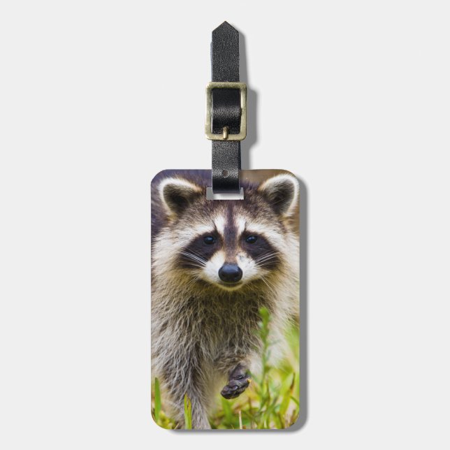 Tvättbjörnen, Procyon lotor Bagagebricka (Vertikal Framsida)