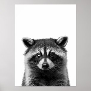 Tvättbjörnsskog Modern Porträtt svart vitt Poster