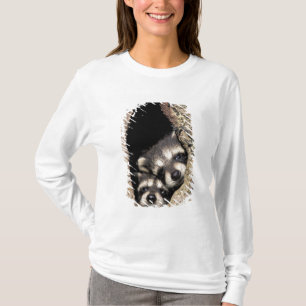 Tvättbjörnungar i trädhåla Procyon T Shirt