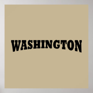 tvättington-dc poster