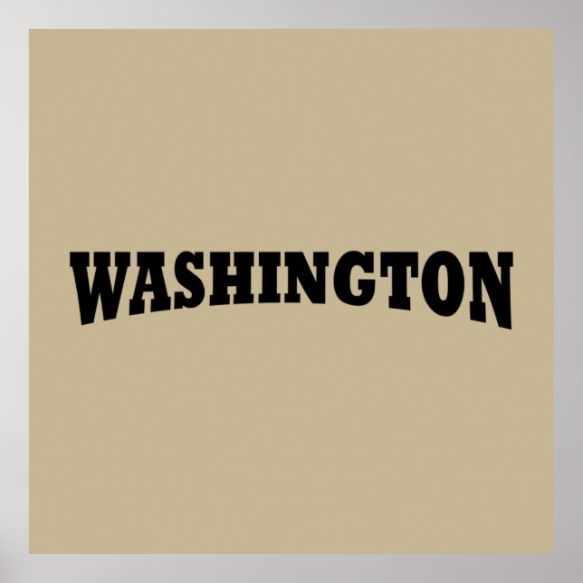 tvättington-dc poster (Framsidan)
