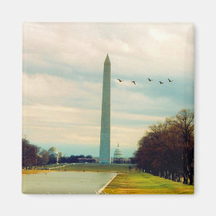 tvättingtonmonument magnet
