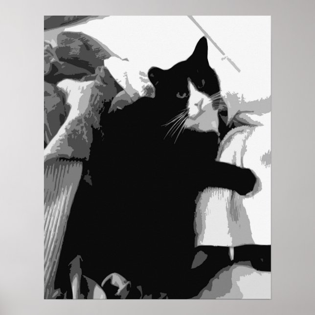 Tvättkatt  poster (Framsidan)