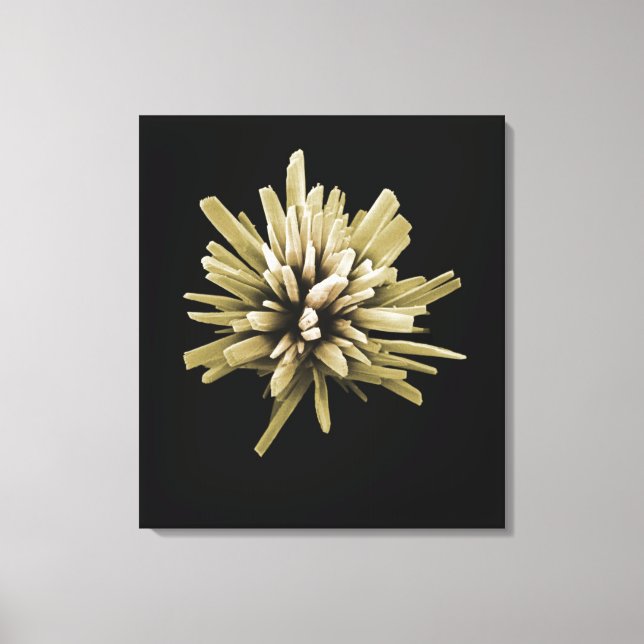 Tvättmedel Crystal Canvastryck (Framsida)