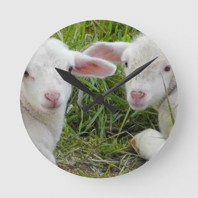 Tvilling- Lambbaby djur som är tänkande av dig Rund Klocka (Framsida)