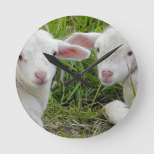 Tvilling- Lambbaby djur som är tänkande av dig Rund Klocka