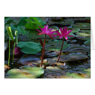 Tvilling- Pinks Hälsningskort