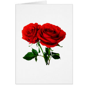 Tvilling- röd ros hälsningskort