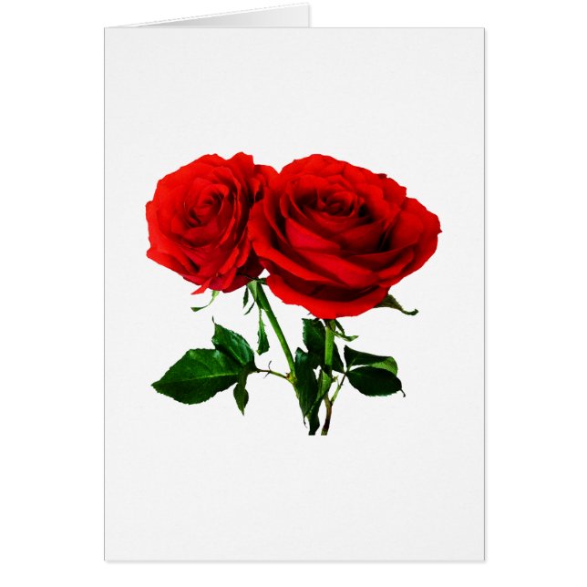 Tvilling- röd ros hälsningskort (Framsidan)