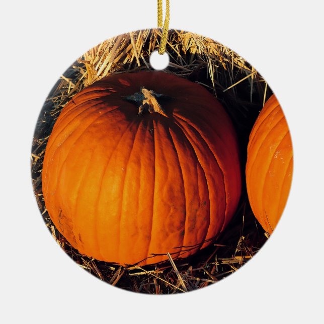 Tvilling Vintage Pumpa Julgransprydnad Keramik (Framsidan)