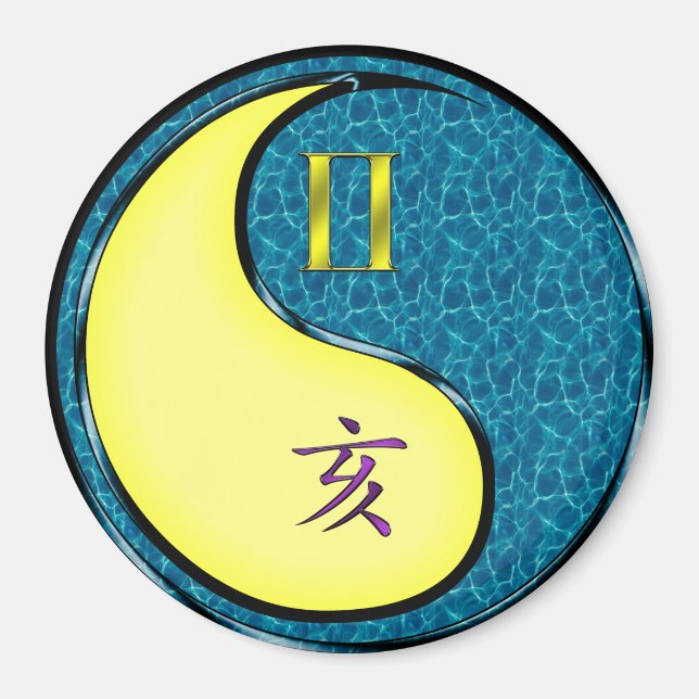 Tvillingarna & Vatten Gris Magnet (Framsidan)