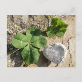 Tvillingdag Fyrklöver Irish Tur St. Patrick's Day Vykort