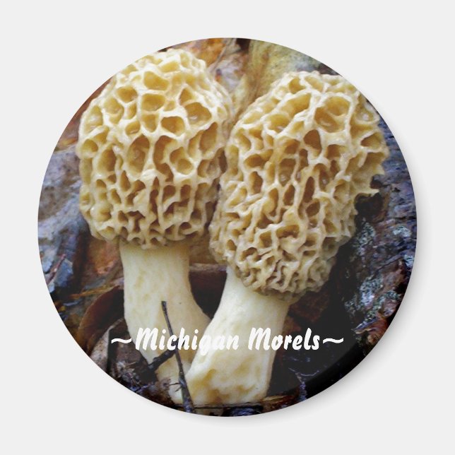 Tvillingmorels, ~Michigan Morels~ Magnet (Framsidan)