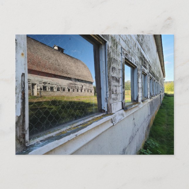 tvillingreflektion av barn vykort (Framsida)