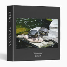Tvillingsköldpaddor -