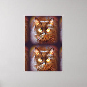 tvillingsvart kittykatt canvastryck