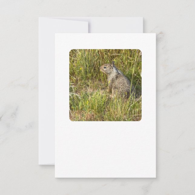 tvinga att ersätta med mask inbjudningar (Framsida)