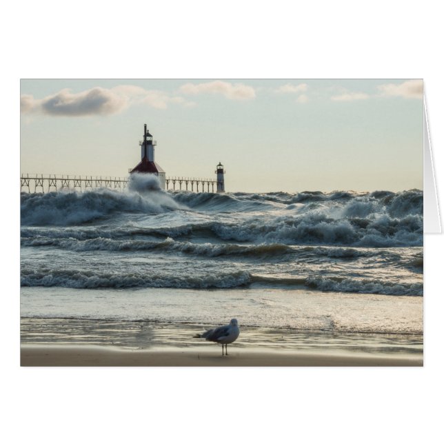 Tvinga bakom Beauty OBS Kort (Framsidan Horizontal)