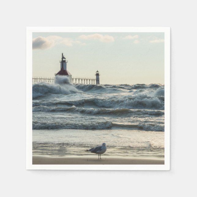 Tvinga bakom Beauty Pappersservett (Framsidan)