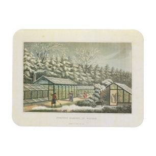 Tvinga Garden i vinter, från Fragments på Th Magnet