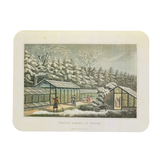 Tvinga Garden i vinter, från Fragments på Th Magnet (Horisontell)