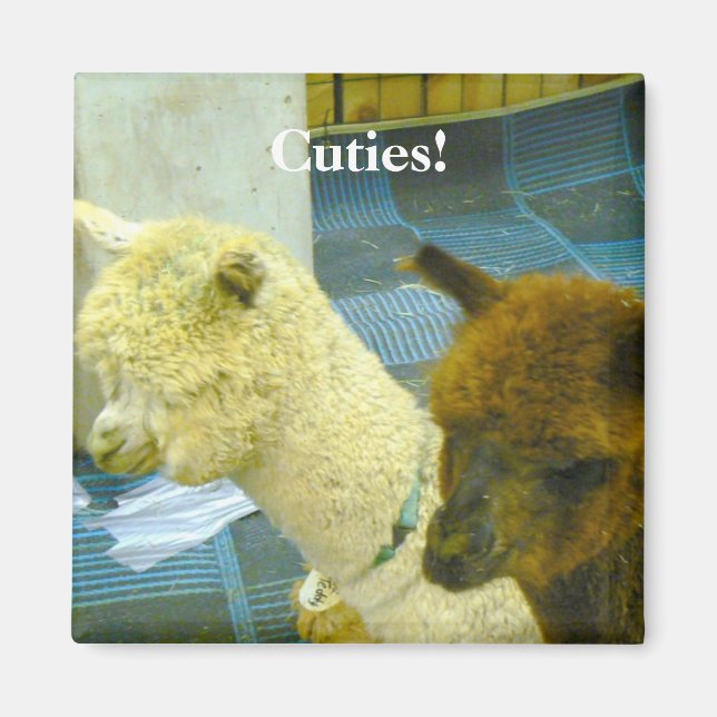 Tvingar! Magnet (Framsidan)