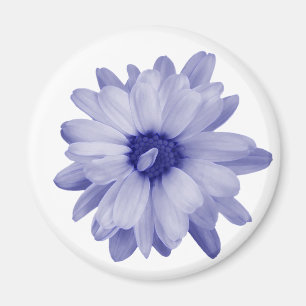 tvinnad blå petal magnet