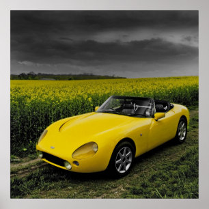 TVR Griffith Skriv ut Poster